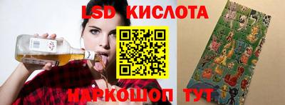 прущие грибы Будённовск