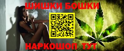 прущие грибы Будённовск