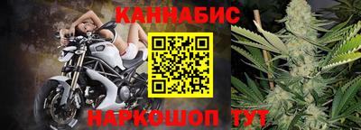 прущие грибы Будённовск