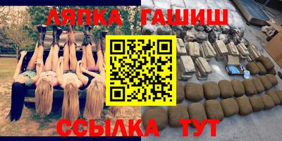 прущие грибы Будённовск